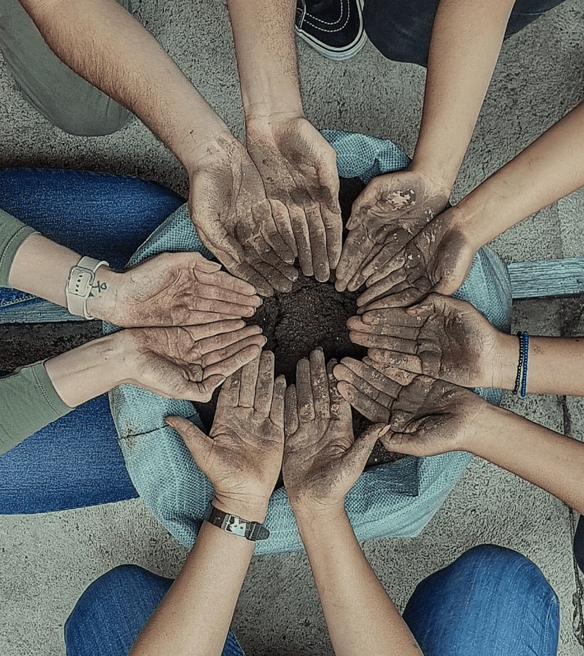 Docentes y educadores en actividades ambientales